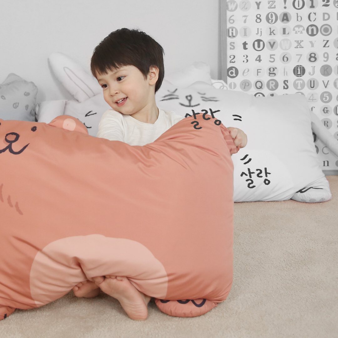 animal pillow Singapore, Aribebe Korea, Nursing Pillow, Cute pillow for kids, Best pillow for toddler